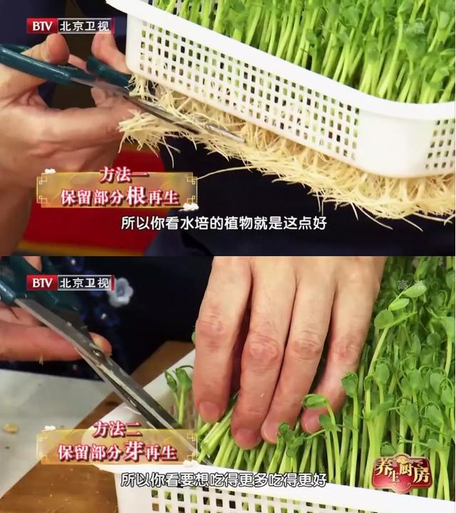 萝卜、白菜靠边站,这3种苗菜最近要常吃!清热润肺又通便
