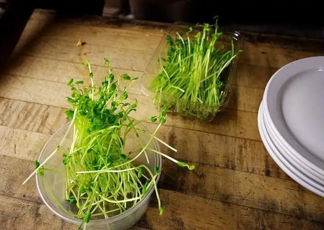 萝卜、白菜靠边站,这3种苗菜最近要常吃!清热润肺又通便