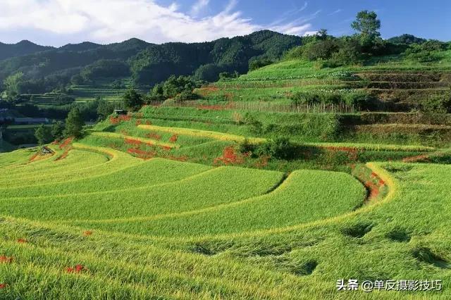 简单实用的摄影知识，快收藏！