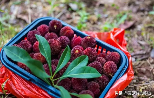 6月最佳旅行地,这10个地方让你玩的与众不同