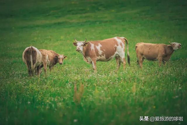 6月最佳旅行地,这10个地方让你玩的与众不同