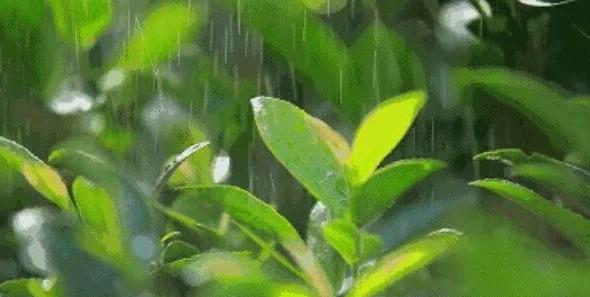 俗话说春日进补,上山打虎。多吃这些菜,时令蔬菜给身心的幸福!