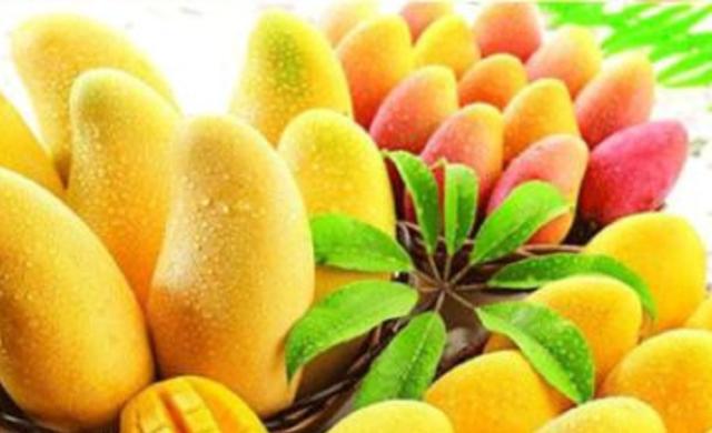 深圳十大美食品鉴,汇聚海内外无数美味,200块吃到扶墙