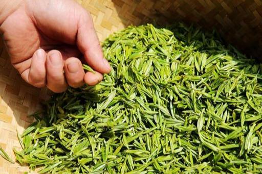 长期喝茶的人和不喝茶的人,都有什么区别?你是否知道?