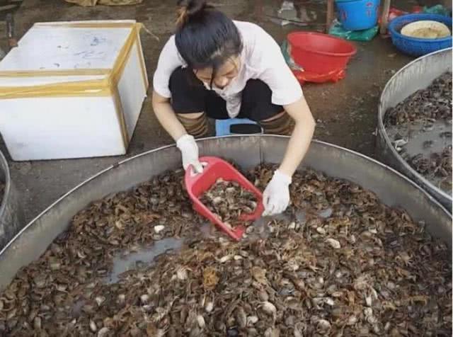 90后女孩街边卖“生螃蟹”8元一盘,每日能卖500盘,顾客都说好吃