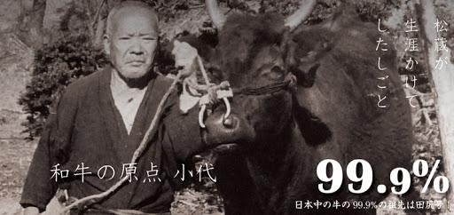 日本食记:神户牛并不存在?揭秘风靡全球的“神户牛肉”