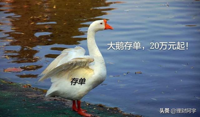 20万起!大额存单“秒杀”银行理财