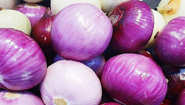 老人吃洋葱能补钙?医生:纯属谣言,这3类食物才是“补钙王”。