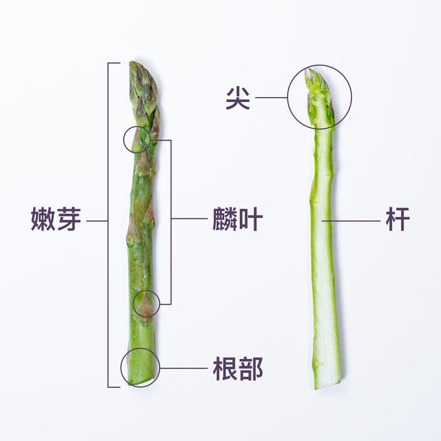天生丽质的“芦笋”,西方人餐桌上的蔬菜之王,如何挑选怎么吃?