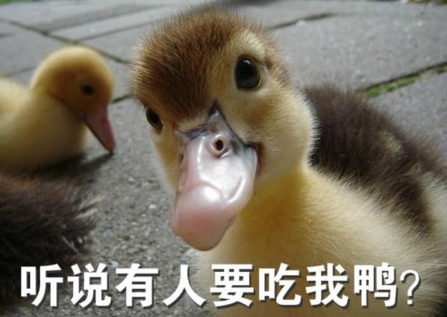 四川人如何花式吃鸭?看看这些特色“鸭美食”,诱人极了