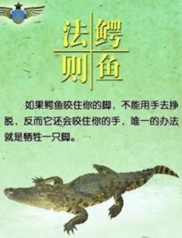 什么是理财?要不要理财?