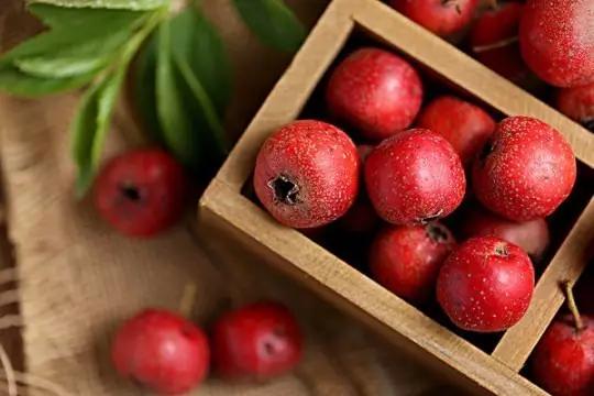 【健康】一直“背黑锅”的10种好食物!营养专家忍不住说了公道话
