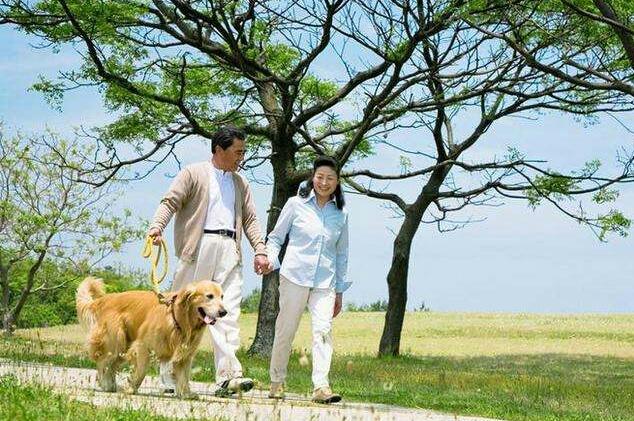 养生?为什么身体越养越差?这3种养生等于养病,你是否也在做?