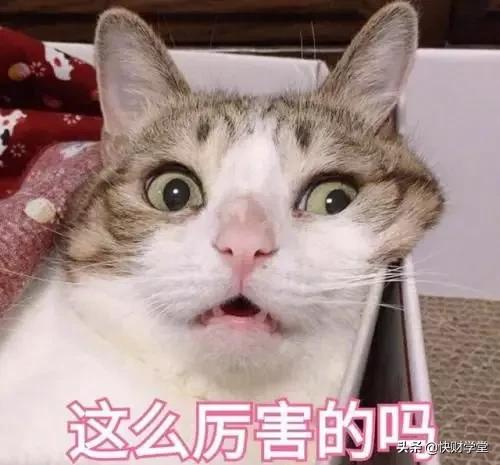 2020年怎么买基金才最最省钱?3个技巧让你立省1500元!