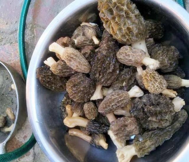 云南人最爱的十道美食,有些美食只有云南人才懂