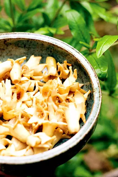 云南10种鲜花食材,你都吃过吗?#云南特色美食攻略大全