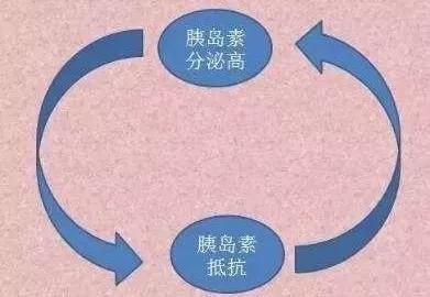 6件小事帮你全面增强“胰腺”功能,恢复血糖正常,恢复年轻体质