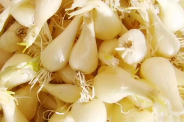 这8样咸菜,才是云南人最下饭、最开胃的菜,同意的举个手!