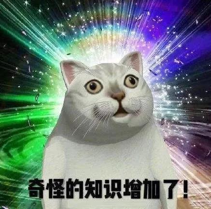 你敢相信吗?雪糕竟然有葱香、臭豆腐、折耳根和花椒口味!