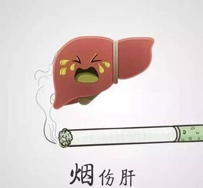 这些伤肝的生活方式,你占了哪几样?