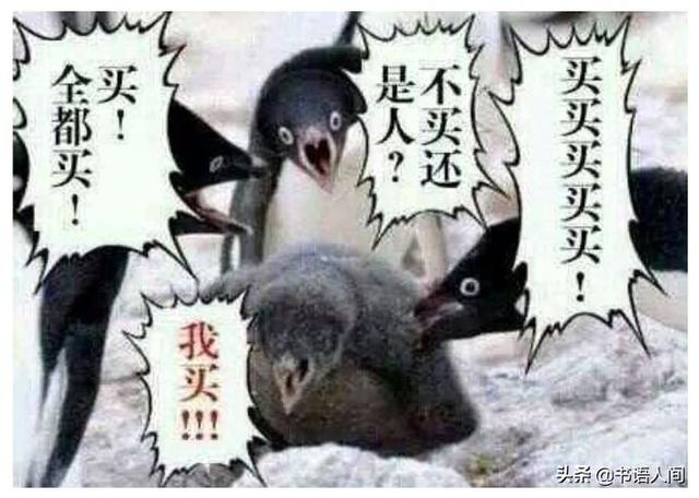 收入、储蓄、债务、投资,你需要知道的理财常识(实战篇)