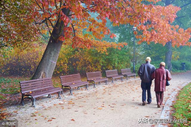 老年人如何保健效果好?这4“梢”都顾好,帮助延年益寿