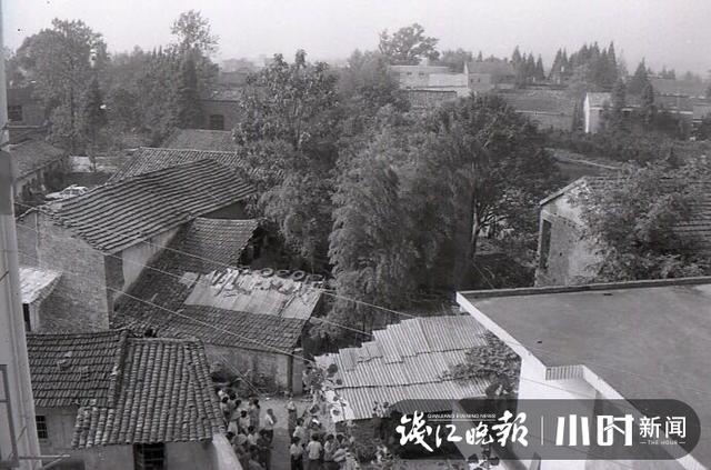终于抓到你,还好没放弃!22年前衢州一家三口灭门案嫌犯落网