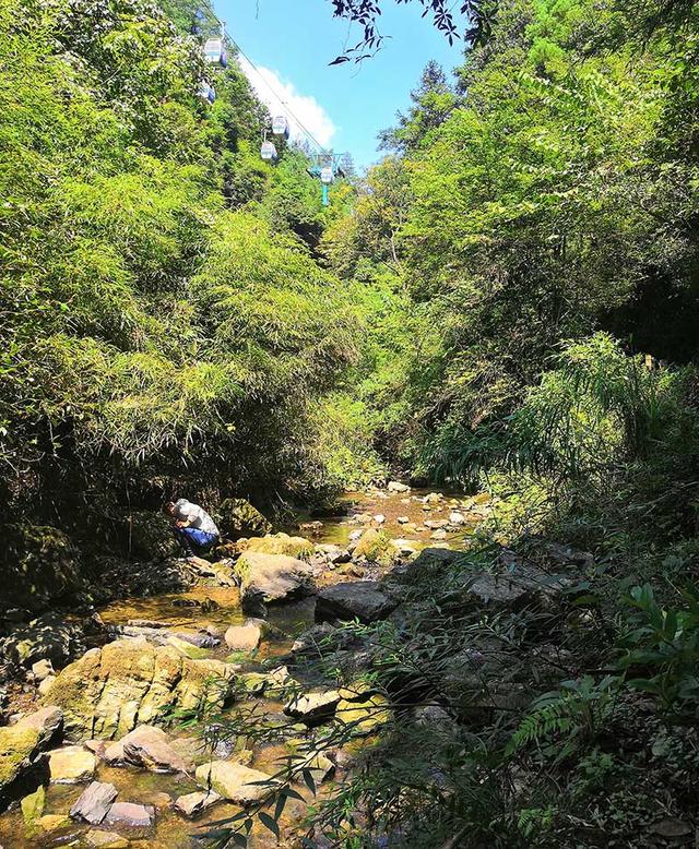 重庆旅游必去景点有哪些?重庆最热门景点大全