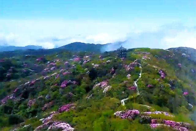 重庆旅游必去景点有哪些?重庆最热门景点大全