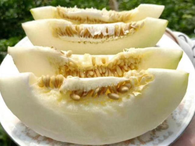 什么样的甜瓜更甜更好吃?看准这4个地方,保证挑的都很甜很好吃