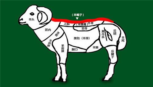 羊蝎子到底是什么?为什么那么多人喜欢吃?看完涨知识了