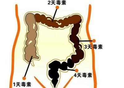 生活中的十大谣言,你中招了吗?