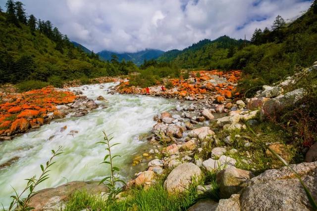 这才是四川最美7大景点,景美人还少,去过5个的都是老司机!