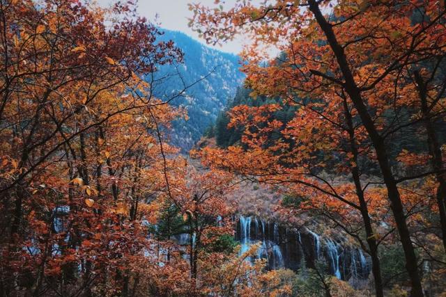 这才是四川最美7大景点,景美人还少,去过5个的都是老司机!