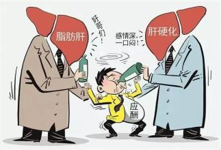 肝不好的人别忽视了!这四种茶天然的肝脏清洁工,常喝排毒养肝