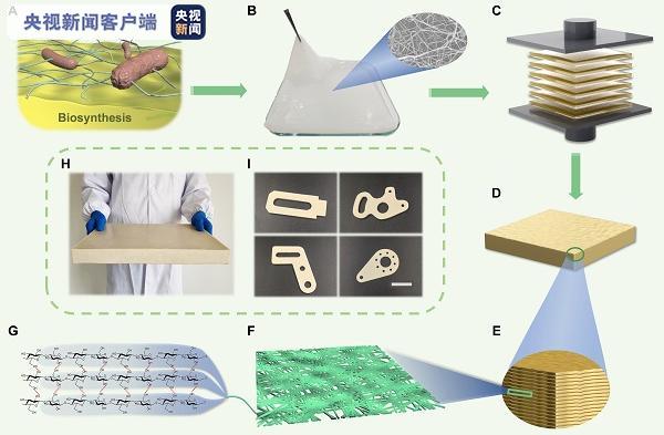 △纤维素纳米纤维结构材料(CNFP)的制备过程、结构示意图、样品照片和可加工性能展示
