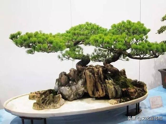 中国传统文化有哪些?100项中国传统文化集锦