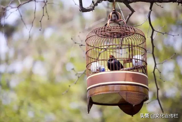 中国传统文化有哪些?100项中国传统文化集锦