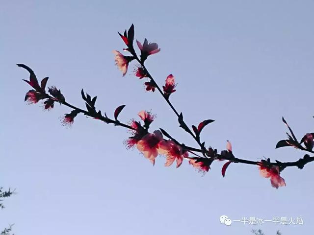岁言 · 碎语:生活,有时见尘埃,有时见星辰