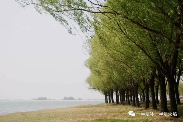 岁言 · 碎语:生活,有时见尘埃,有时见星辰