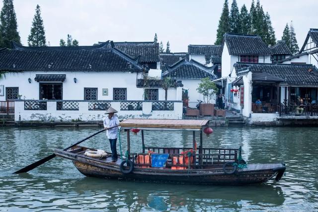什么是文化?