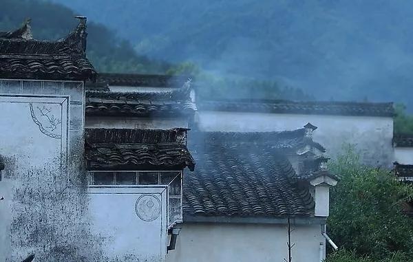 什么是文化？