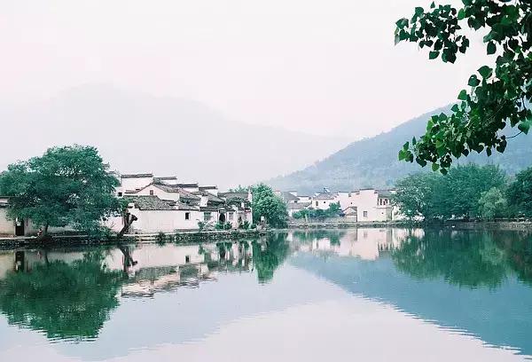 什么是文化？