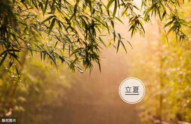 立夏起适当午睡,冠心病发病率下降20%,但有4种人不宜睡午觉