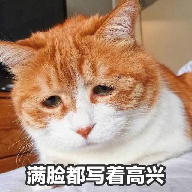 通知:这两大考试确定考试时间