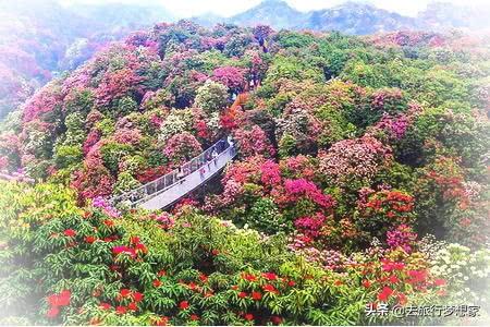 贵州十大旅游景点攻略,好山好水好风光,夏天避暑好去处!