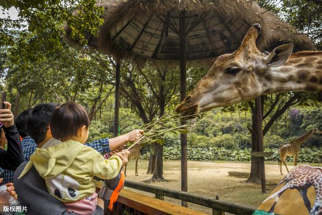中国旅游日来了,去哪儿旅游?6类主题公园推荐,你去过几个?