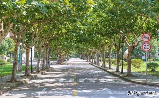 体育终于纳入高考!2020中国最牛高校招生,体育成绩好可优先录取