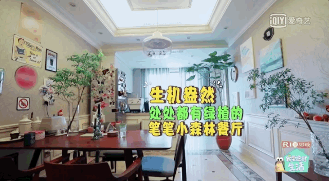 一个人生活可以是什么样?让他们来告诉你答案