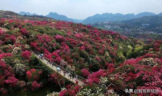 贵州旅游必去的景点!